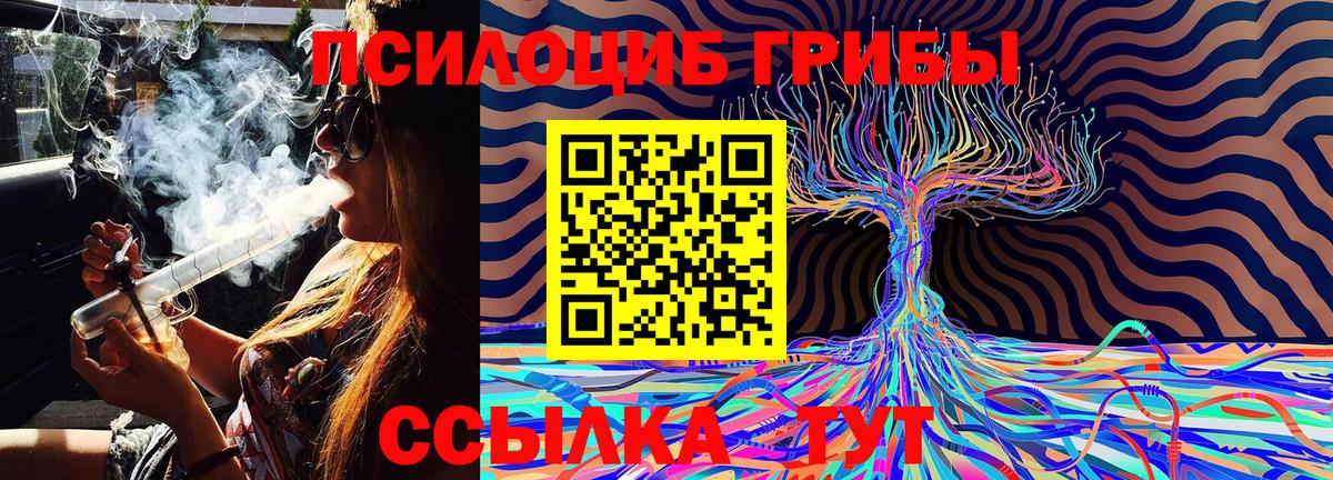 цены   Галлюциногенные грибы Psilocybe  Пыть-Ях  Вход с VPN  Галлюциногенные грибы Magic Shrooms 