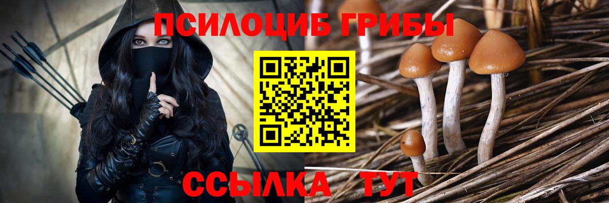 Галлюциногенные грибы MAGIC MUSHROOMS Пыть-Ях